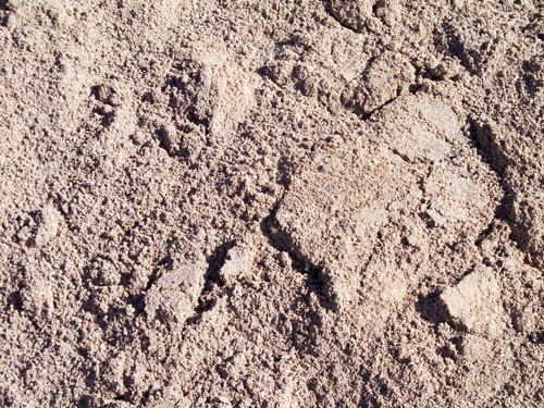 sand-sample-05