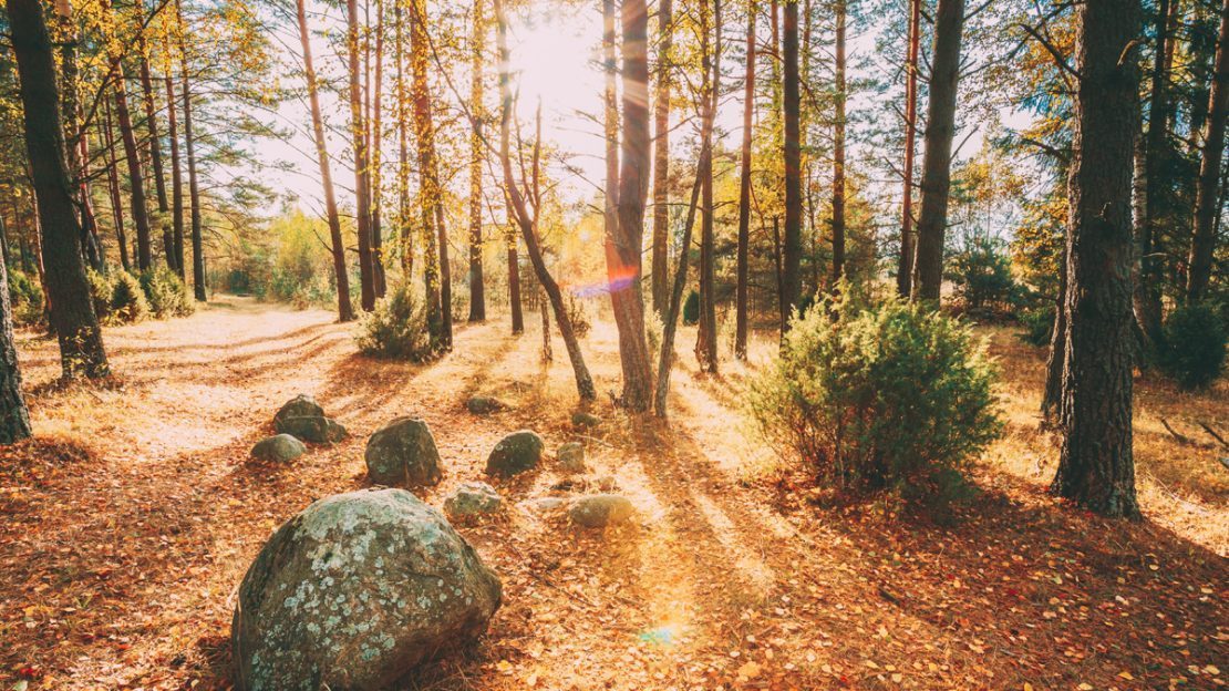 How Much Do Landscape Boulders Cost? A&A Materials, Inc.