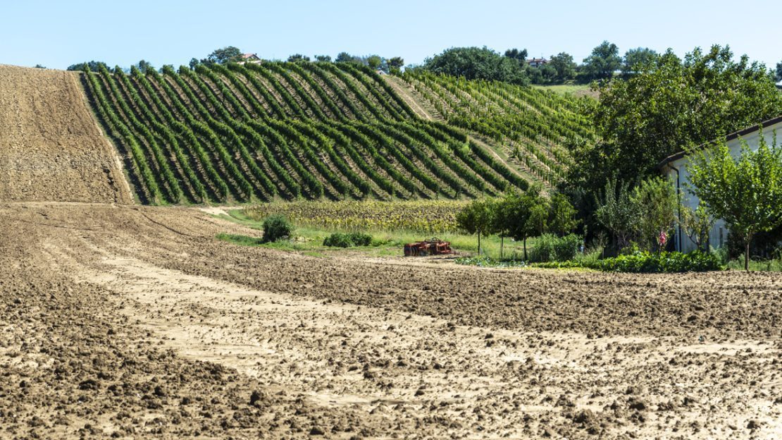 Landscape Dirt Near Me A&A Materials Inc