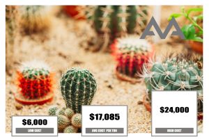 Xeriscaping Cost