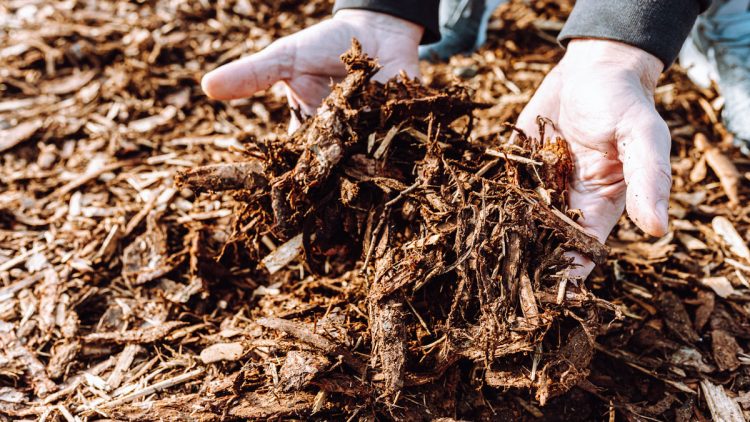 What are Wood Chips Used For