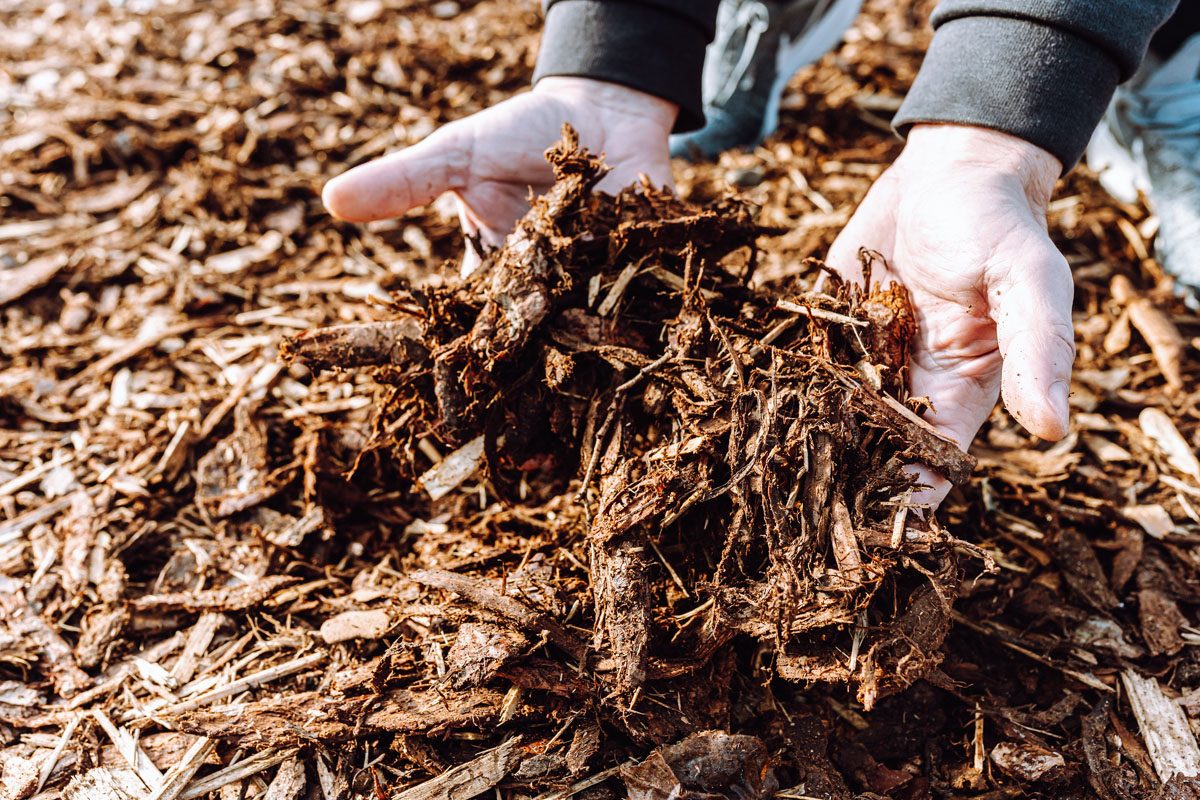 What Are Wood Chips Used For? A&A Materials Inc.