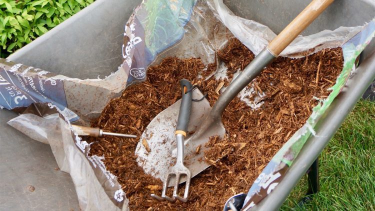 Does Mulch Attract Insects