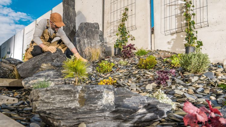 Cleaning Landscape Rocks