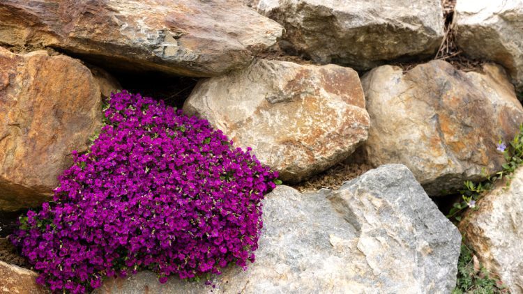 Landscaping Boulders