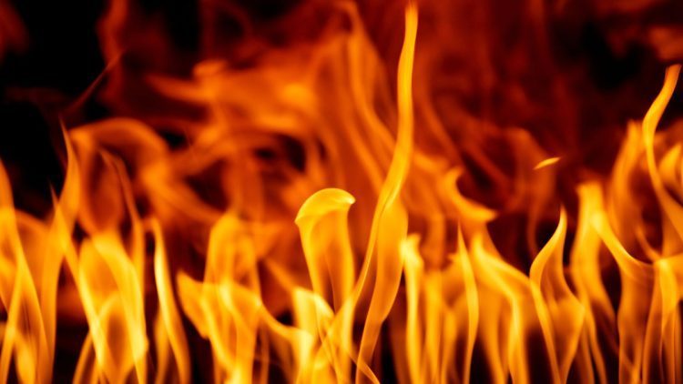 Can Mulch Catch Fire