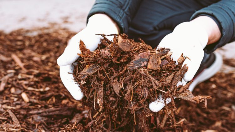 Does Mulch Go Bad?