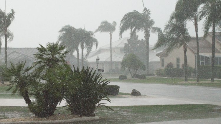 Monsoon Ready Landscaping